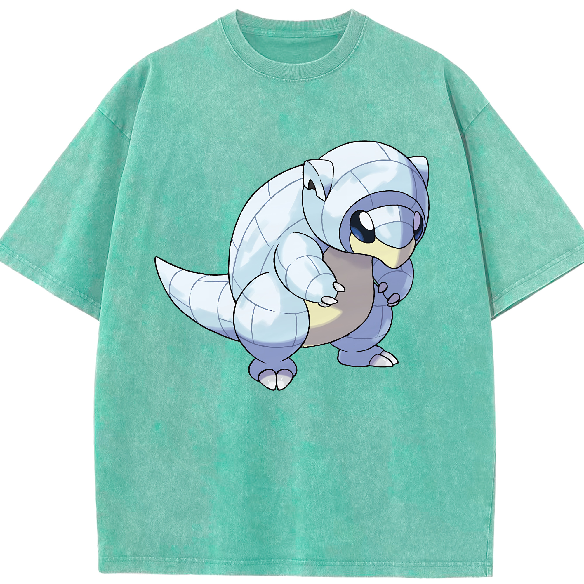 （画像用） ポケットモンスター Pokémon 綿100% ヴィンテージ風 半袖Tシャツ（フロントプリント）